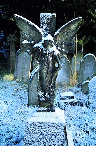 snow covered angel