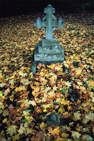 cross among autumn leaves