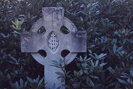 cross surrounded by leaves