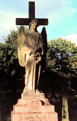 angel in sunlight