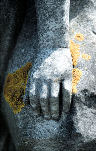 Hand & lichen